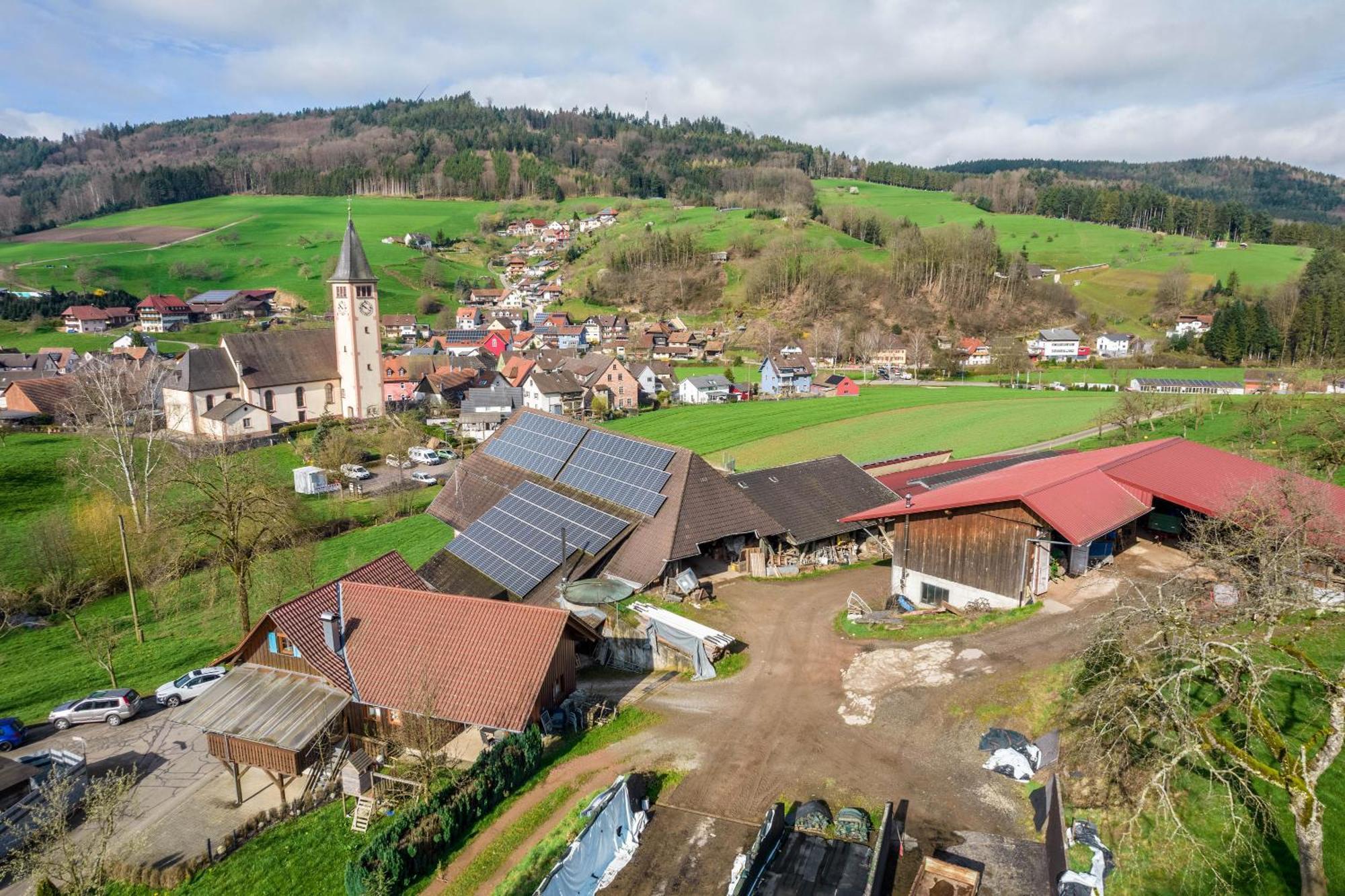 Ferienwohnung Ziegelhof Schuttertal Exterior foto