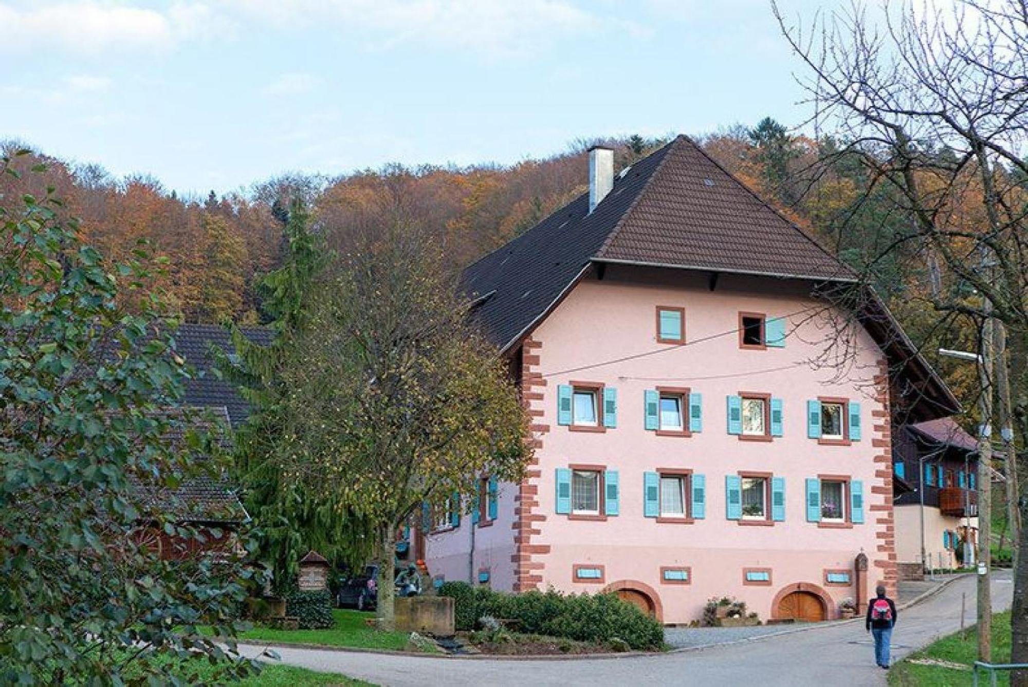 Ferienwohnung Ziegelhof Schuttertal Exterior foto